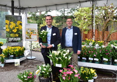 Lennaert Kapiteijn and Wim Kleine of Kapiteyn presenting Lorenzo, a new variety that is genetically short. It has a long shelf life and the US market seems to be liking it very much.